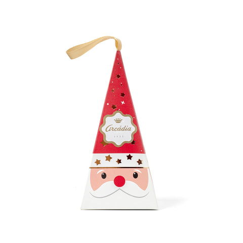 Santa Claus Ornament